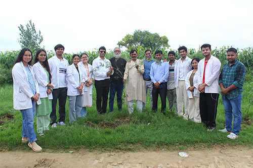 blog_small_img1_350X198